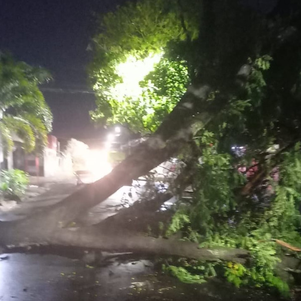 Defesa Civil e Prefeitura atendem moradores após vendaval em Paraguaçu Paulista