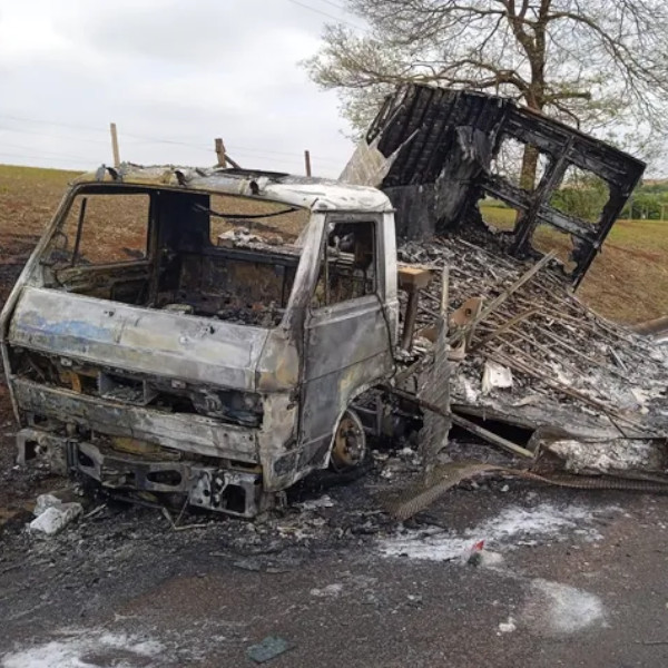 Caminhão pega fogo e 30 mil filhotes de codorna morrem carbonizados em rodovia da região