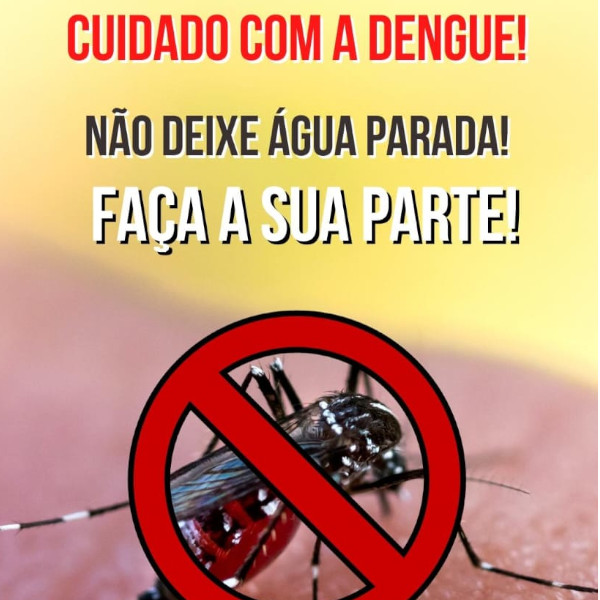 População deve redobrar os cuidados com criadouros do Aedes aegypti, orienta Saúde