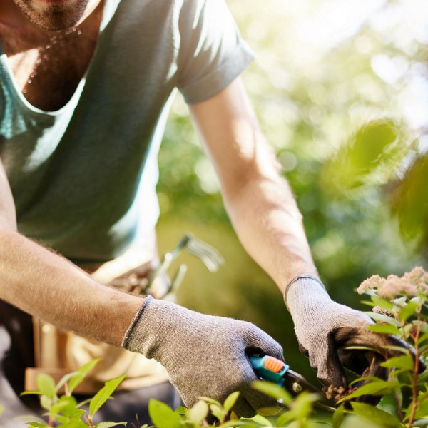 Sindicato Rural Patronal ainda tem vagas para o curso de jardineiro