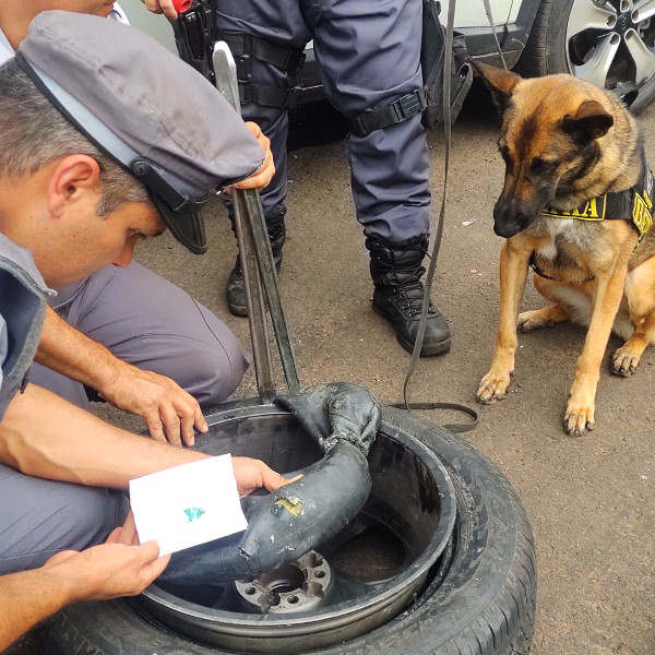 Cão farejador localiza cocaína escondida em pneu de estepe