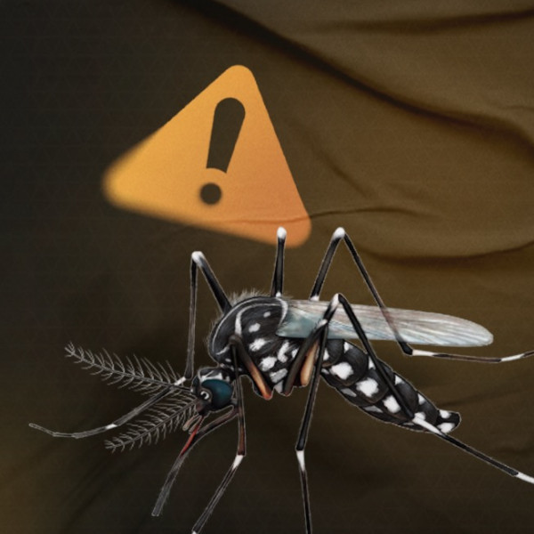Nesta segunda-feira a Campanha “Natal sem Dengue” acontece nas Unidades 1, 2 e 7 da Barra Funda