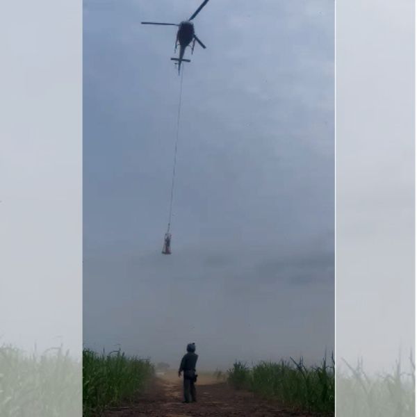 Helicóptero Águia e Corpo de Bombeiros resgatam homem perdido em mata, em Paraguaçu Paulista