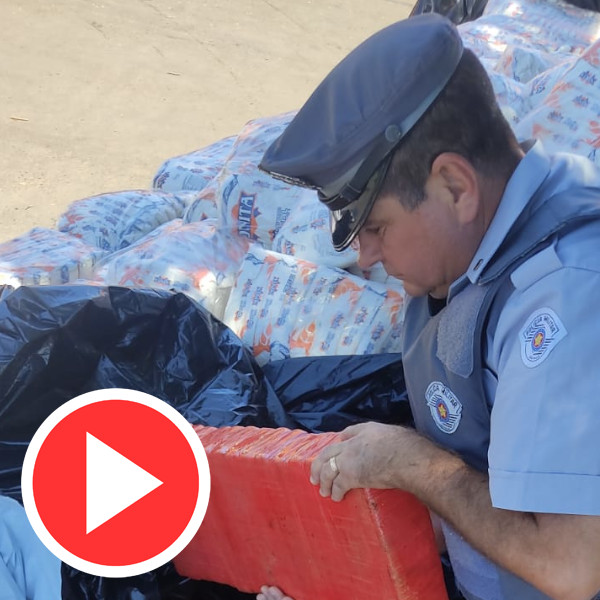 Homem é preso com 1 tonelada de maconha em Paraguaçu Paulista; VEJA VÍDEO