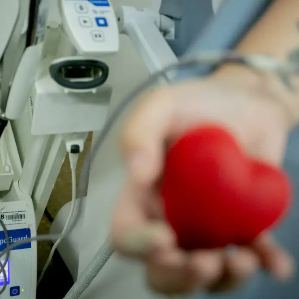 App que incentiva doação de sangue já pode ser baixado
