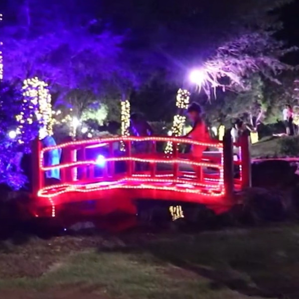 Totalmente iluminado, Jardim das Cerejeiras se transforma em cartão postal natalino de Paraguaçu