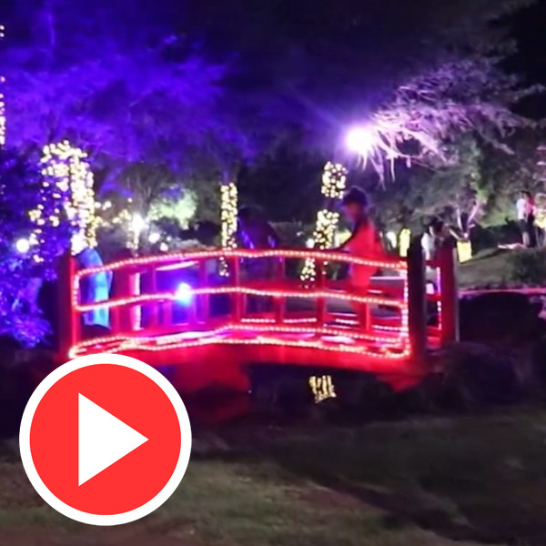Totalmente iluminado, Jardim das Cerejeiras se transforma em cartão postal natalino de Paraguaçu