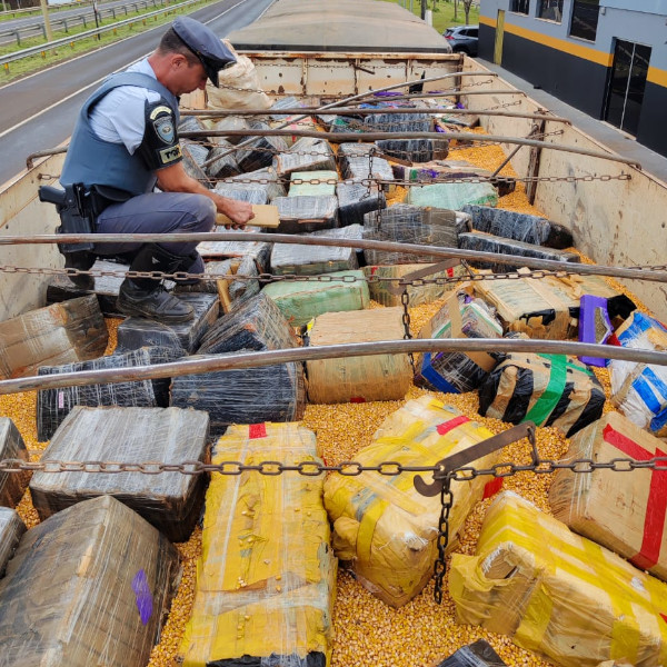 PMs rodoviários apreendem 3,5 toneladas de maconha na Rodovia Comandante João Ribeiro de Barros