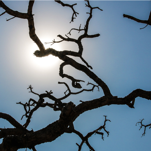 Semana inicia com predomínio de sol em Paraguaçu Paulista
