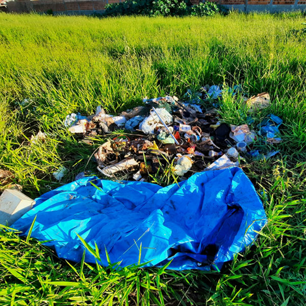 Moradores enfrentam invasão de cupins e animais peçonhentos no Lina Leuzzi