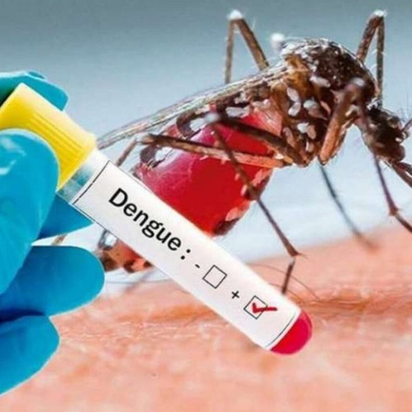 Iepê divulga primeira morte suspeita provocada pela dengue em 2024