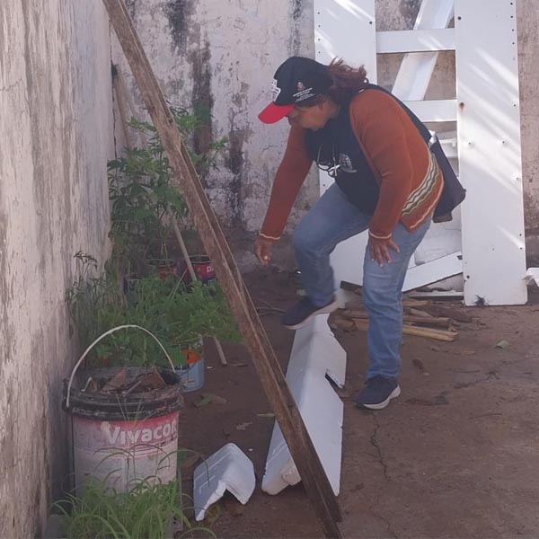 Agentes de combate à dengue encontram 23 focos em apenas uma quadra, em Paraguaçu