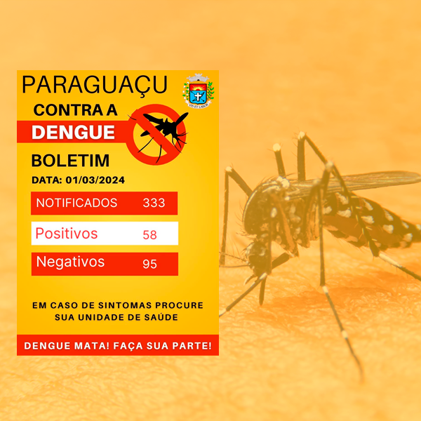 Aumento nos casos de dengue exige atenção