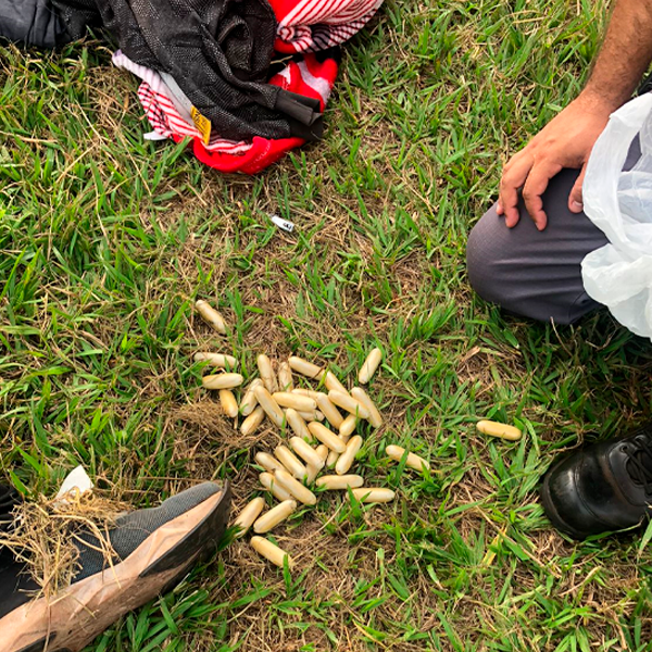 Operação da Polícia Militar prende oito bolivianos por tráfico em Maracaí