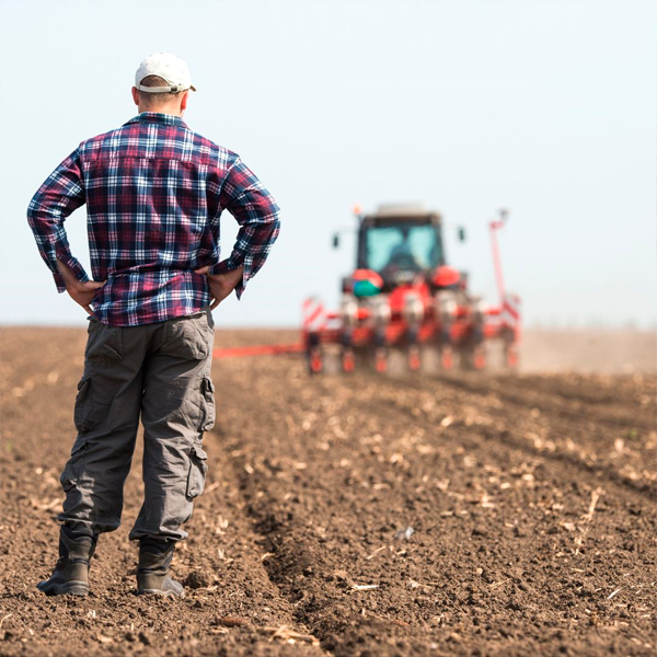 Áreas do município de Quatá declaram situação de emergência devido a perdas agrícolas