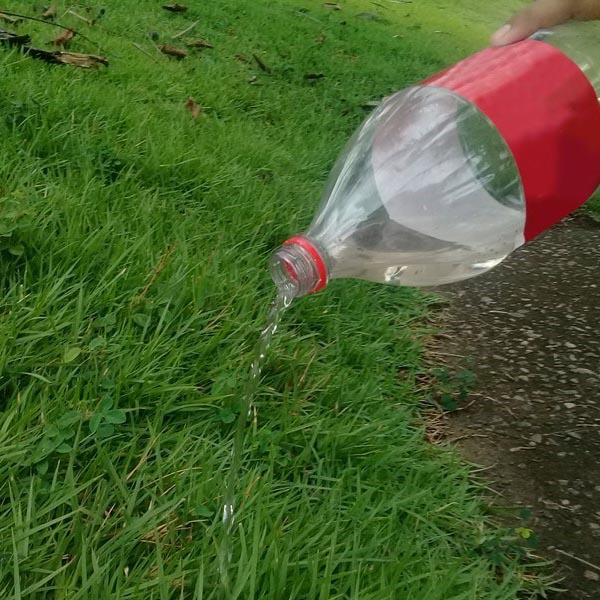 Município orienta moradores sobre os cuidados com os quintais após as chuvas