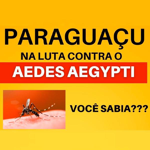 Paraguaçu intensifica esforços para combater a dengue com ações educativas e fiscalização rigorosa