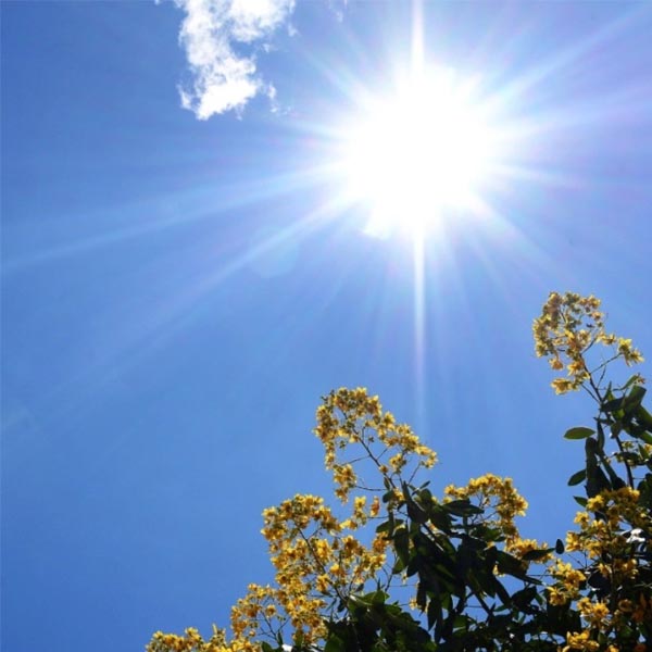 Fim de semana ensolarado em Paraguaçu Paulista promete temperaturas agradáveis