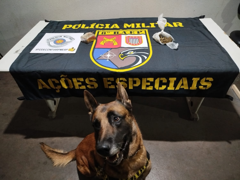 Cão de faro do Baep localiza droga enterrada em Paraguaçu Paulista