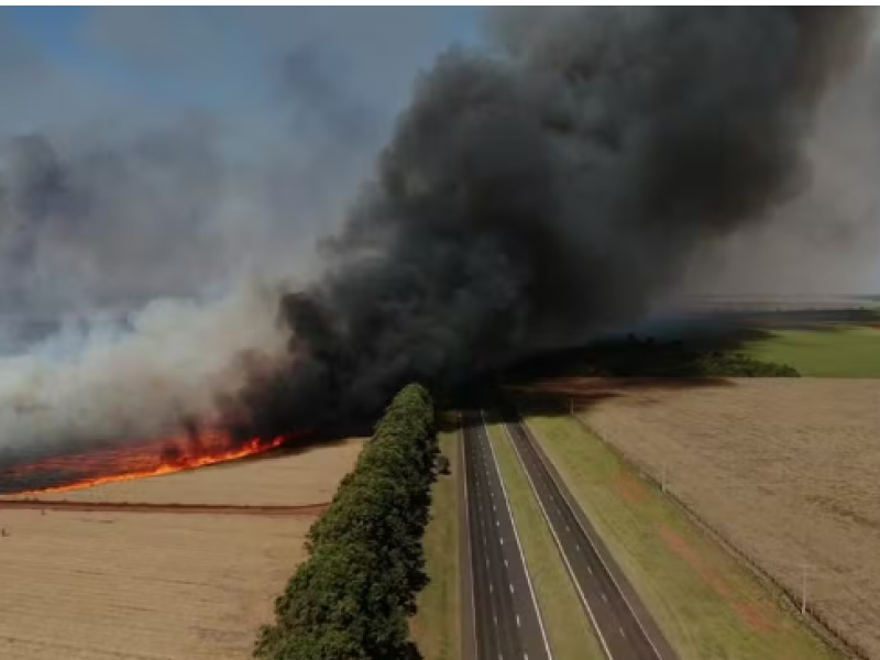 Defesa Civil emite orientações após incêndio nas margens da Rodovia Raposo Tavares, em Rancharia