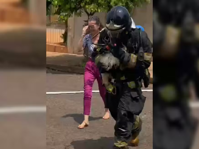 Bombeiros resgatam cachorrinha de incêndio em Paraguaçu Paulista