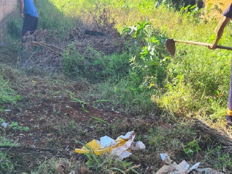 Terrenos abandonados colocam a saúde em risco e prefeitura alerta que a responsabilidade é de todos