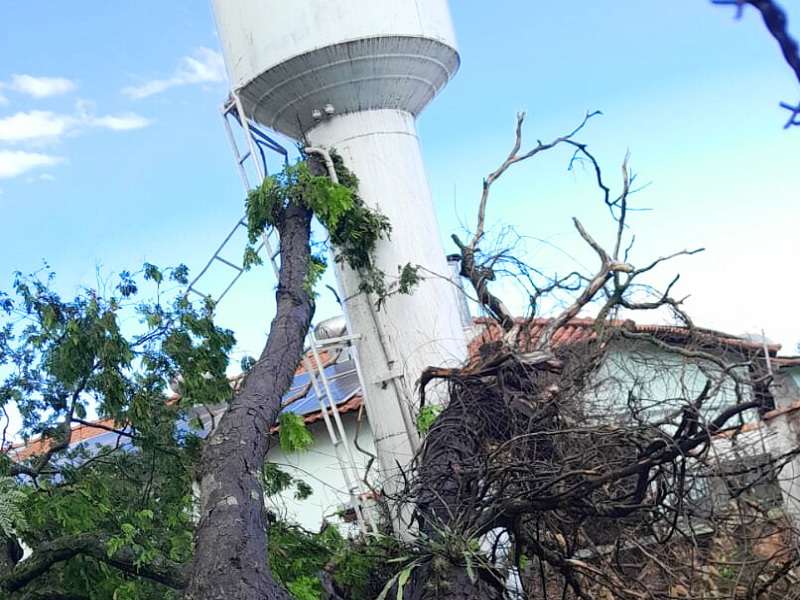 Temporal derruba árvore gigante sobre caixa d’água que abastece a Casa Lar e o Lar dos Idosos