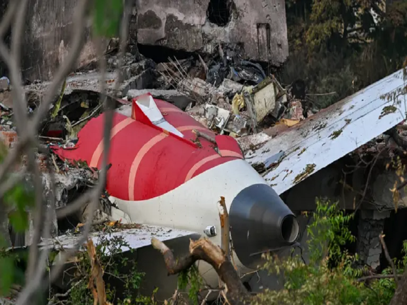 Colisão com aves pode ser provável causa da queda de avião na Índia