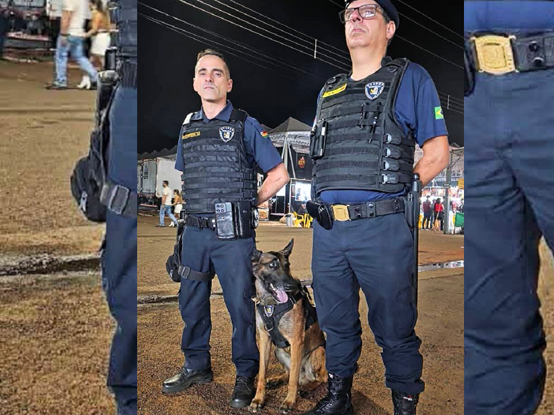 Novo cão da GCM de Paraguaçu Paulista reforça segurança e aproxima comunidade