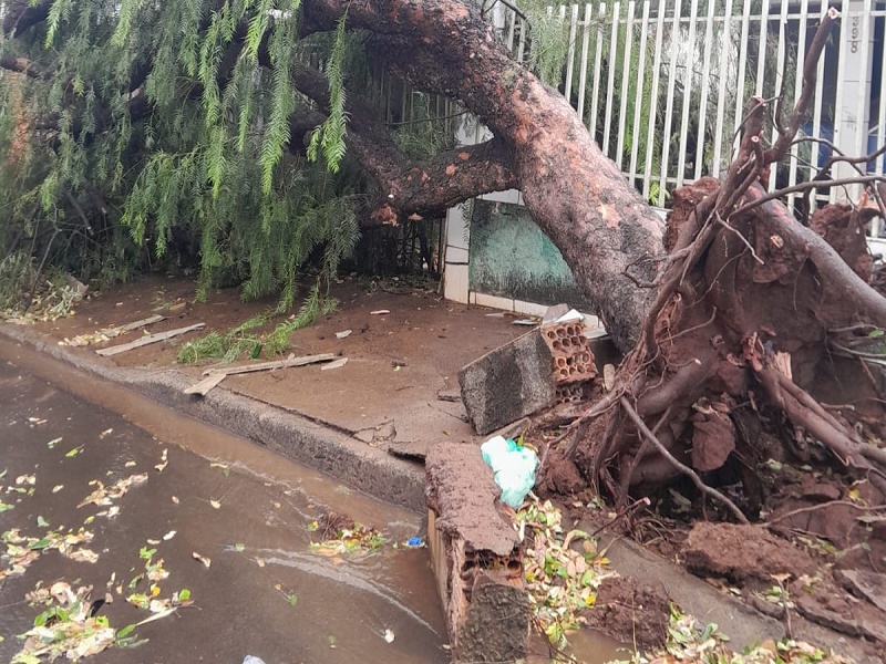 Estragos em Paraguaçu Paulista: Defesa Civil atua em regime emergencial após forte temporal