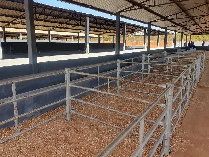 Expo Paraguaçu 2025 terá mostra especial de animais e programação diversificada