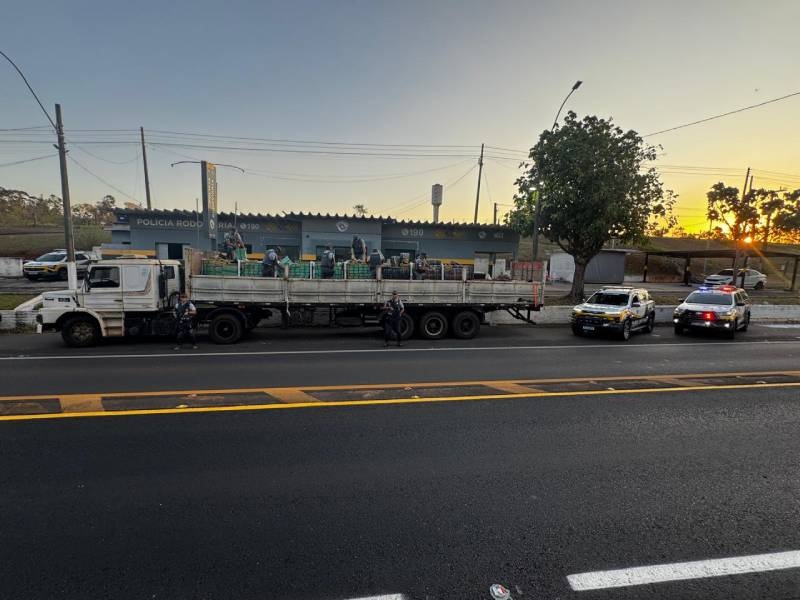 Polícia apreende quase 8 toneladas de maconha escondidas em carga de gesso na SP-294