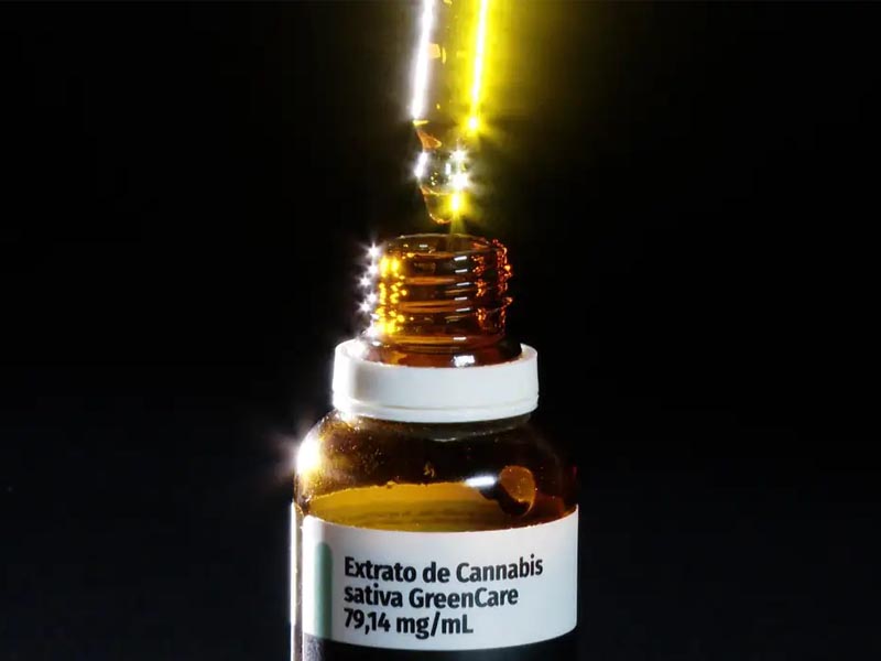 Anvisa aprova cultivo de cannabis por empresas e amplia acesso