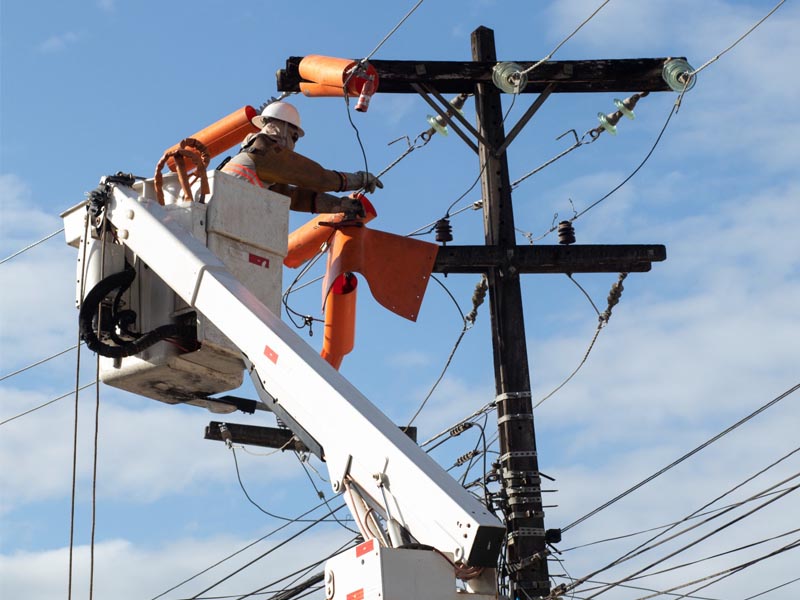 Energisa executa cronograma de melhorias na rede elétrica que atende moradores de Maracaí
