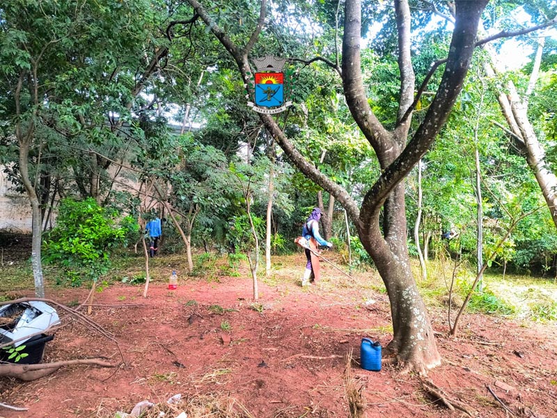 Descarte irregular é registrado, mais uma vez, em área arborizada no Parque das Acácias