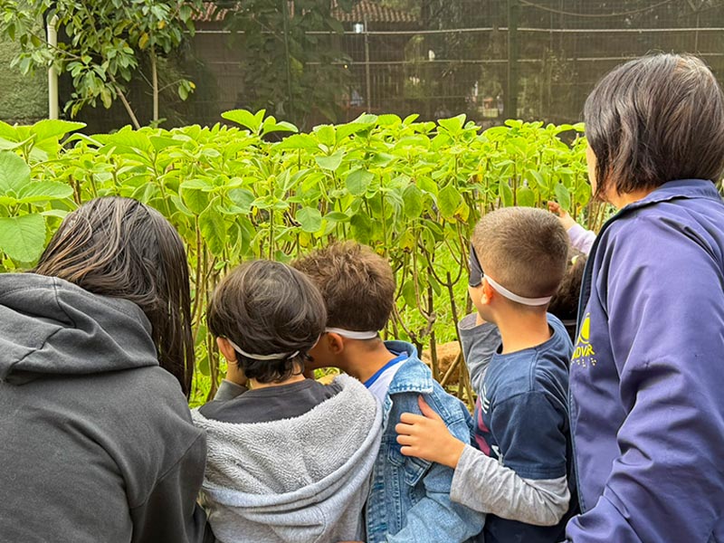 Jardim Sensorial retoma atividades no Parque Buracão em Assis