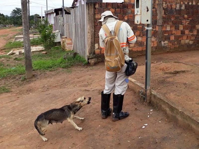 Leituristas da Energisa registram 17,9 mil alertas de cães nas regiões de Assis e Tupã